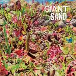GIANT SAND - RETURNS TO VALLEY OF RAIN (INDIE EXCLUSIVE COLOURED VINYL)