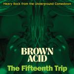 VARIOUS ARISTS - BROWN ACID - THE FIFTEENTH TRIP