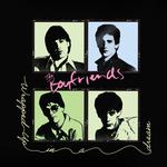 THE BOYFRIENDS - WRAPPED UP IN A DREAM