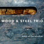 WOOD & STEEL TRIO - WASP AT THE WINDOW