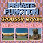PRIVATE FUNCTION - 370HSSV 0773H