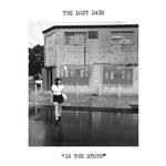 THE LOST DAYS - IN THE STORE (VINYL)