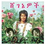 ASELEFECH ASHINE & GETENESH KEBRET - BEAUTIES [LP]