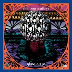 THE BOO RADLEYS - GIANT STEPS (30TH ANNIVERSARY EDITION LIMITED COLOURED VINYL)