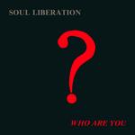 SOUL LIBERATION - WHO ARE YOU?