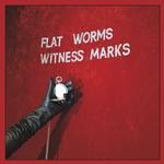 FLAT WORMS - WITNESS MARKS [CASSETTE]