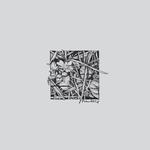POWDERS - CONCEDE TO CIRCUMSTANCE (VINYL)