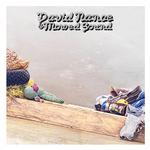 DAVID NANCE - DAVID NANCE & MOWED SOUND (GREEN INDIE EXCLUSIVE)