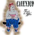 CALEXICO - FEAST OF WIRE (45RPM REMASTER)