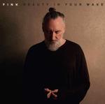 FINK - BEAUTY IN YOUR WAKE (DELUXE CD)