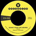 STEPHEN COLEBROOKE - SHAKE YOUR CHIC BEHIND B/W STAY AWAY FROM MUSIC (OPAQUE GREEN VINYL)